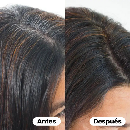 Champú 3 en 1 - Anti canas | 100ml