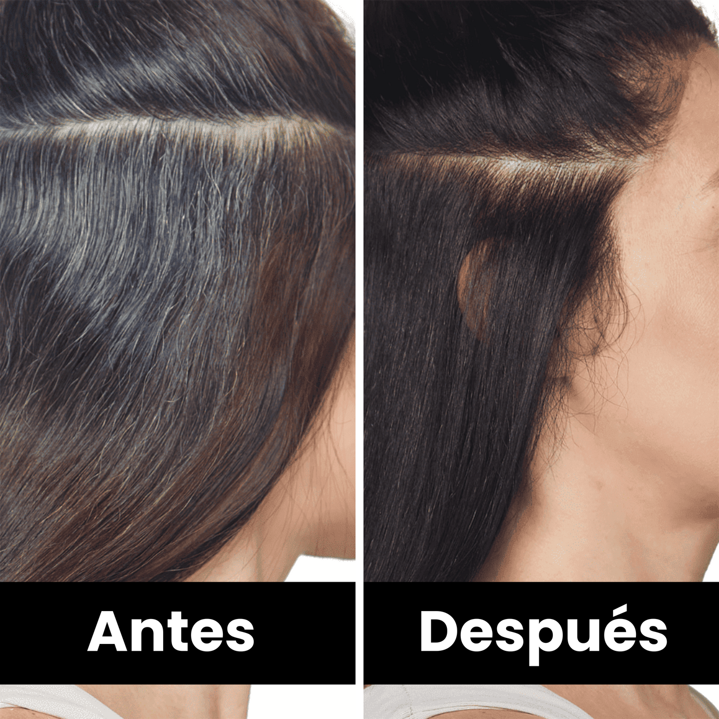 Champú 3 en 1 - Anti canas | 100ml